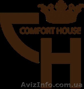 Качественная уборка от лучшей клининговой компании Comfort House - <ro>Изображение</ro><ru>Изображение</ru> #1, <ru>Объявление</ru> #1490206