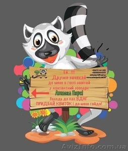 Приглашаем Вас и Ваших деток посетить контактный зоопарк AnimalPark - <ro>Изображение</ro><ru>Изображение</ru> #1, <ru>Объявление</ru> #1490445