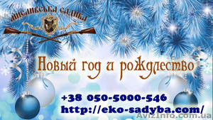 Новогодний отдых на базе отдыха в Полтавской области