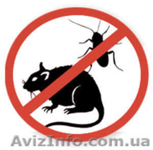 Уничтожение тараканов, мышей, клещей - <ro>Изображение</ro><ru>Изображение</ru> #1, <ru>Объявление</ru> #1556776