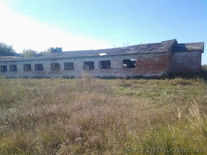 Продается здание фермы в аварийном состоянии. Фастов - <ro>Изображение</ro><ru>Изображение</ru> #6, <ru>Объявление</ru> #1568387