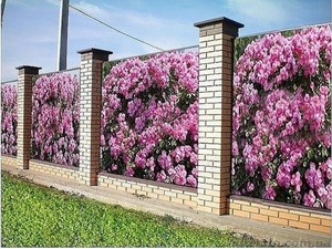 Фото сетка на забор, беседку, декор фасадов стен, ландшафтный дизайн. - <ro>Изображение</ro><ru>Изображение</ru> #3, <ru>Объявление</ru> #1567066