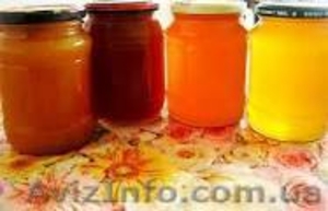 Продам очень вкусный и полезный мед. - <ro>Изображение</ro><ru>Изображение</ru> #1, <ru>Объявление</ru> #1583226