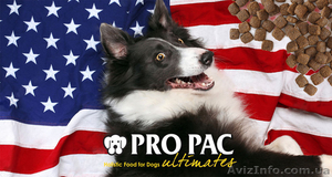 Американский корм для собак та котів Pro Pac Ultimates - <ro>Изображение</ro><ru>Изображение</ru> #1, <ru>Объявление</ru> #1603207