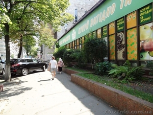 В центре Киева. Отдельно-стоящее торгово-офисное здание. - <ro>Изображение</ro><ru>Изображение</ru> #1, <ru>Объявление</ru> #1618989