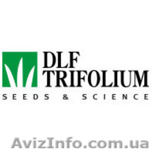 Семена газонной травы DLF Trifolium. ОПТОВАЯ ЦЕНА. - <ro>Изображение</ro><ru>Изображение</ru> #1, <ru>Объявление</ru> #1626878