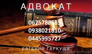 Адвокат по семейным, уголовным, хозяйственным делам.  - <ro>Изображение</ro><ru>Изображение</ru> #1, <ru>Объявление</ru> #1630337