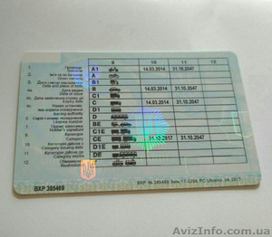 Водительское удостоверение. Помощь в оформлении