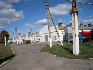 Продаем оборудование для  выращивания птицы