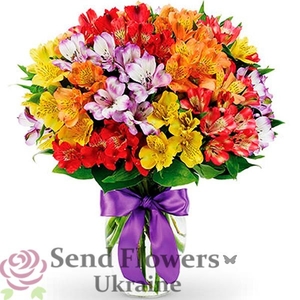 Цветы - <ro>Изображение</ro><ru>Изображение</ru> #1, <ru>Объявление</ru> #1653375