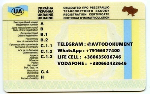 Документы на авто, техпаспорт, водительское удостоверение Украина - <ro>Изображение</ro><ru>Изображение</ru> #1, <ru>Объявление</ru> #1656017