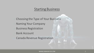 Start Your Own Business in Canada. Complete Support. Visit, Create, Grow! - <ro>Изображение</ro><ru>Изображение</ru> #3, <ru>Объявление</ru> #1654911
