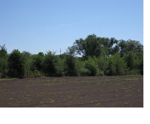 Продам  земельный участок 16 Га в Новомосковске Днепр.область