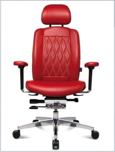 Кресло руководителя Wagner AluMedic S Comfort V 60  - <ro>Изображение</ro><ru>Изображение</ru> #4, <ru>Объявление</ru> #1667424
