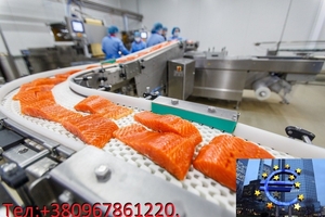 Работа на рыбном заводе в Норвегии 2800 €/Месяц - <ro>Изображение</ro><ru>Изображение</ru> #1, <ru>Объявление</ru> #1667964