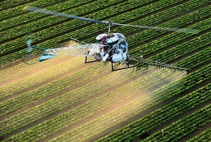 Услуги вертолета дельтаплана самолета агрохолдингам фермерам Украины - <ro>Изображение</ro><ru>Изображение</ru> #1, <ru>Объявление</ru> #1673001