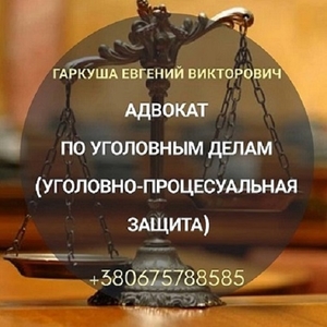 Адвокат онлайн. Услуги адвоката. - <ro>Изображение</ro><ru>Изображение</ru> #1, <ru>Объявление</ru> #1681989