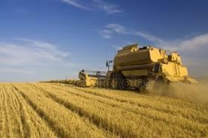 Фермери України