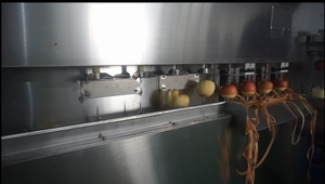 Машина для очистки яблок и нарезка яблок Вега АР- 600 - <ro>Изображение</ro><ru>Изображение</ru> #3, <ru>Объявление</ru> #1695668