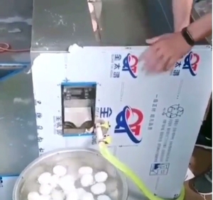 Оборудование для очистки куриных яиц Vega CH 3000 - <ro>Изображение</ro><ru>Изображение</ru> #3, <ru>Объявление</ru> #1698238