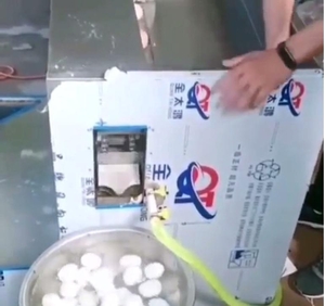 Машина  для очищення курячих яєць Vega CH 3000 - <ro>Изображение</ro><ru>Изображение</ru> #1, <ru>Объявление</ru> #1701655