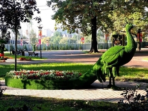 Фигур из искусственного газона, топиарии, арт-объекты для парков, садов. - <ro>Изображение</ro><ru>Изображение</ru> #6, <ru>Объявление</ru> #1704807
