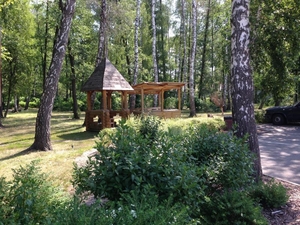 Продам участок с лесом в 19 км от Киева - <ro>Изображение</ro><ru>Изображение</ru> #7, <ru>Объявление</ru> #1705497