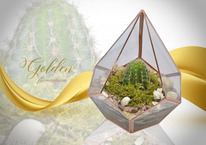 Золотой флорариум! Изысканный подарок на 8 Марта! Хит.