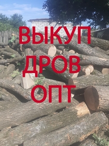 Закупаем дрова - <ro>Изображение</ro><ru>Изображение</ru> #2, <ru>Объявление</ru> #1707350