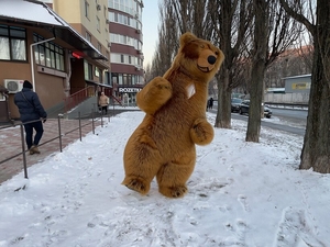 Коричневий костюм ведмедя надувний - <ro>Изображение</ro><ru>Изображение</ru> #6, <ru>Объявление</ru> #1727766
