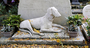 Скульптурное надгробие для домашнего животного под заказ - <ro>Изображение</ro><ru>Изображение</ru> #5, <ru>Объявление</ru> #1734242