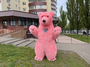 Костюм медведя розовый - <ro>Изображение</ro><ru>Изображение</ru> #1, <ru>Объявление</ru> #1736753