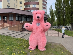 Костюм медведя розовый - <ro>Изображение</ro><ru>Изображение</ru> #4, <ru>Объявление</ru> #1736753