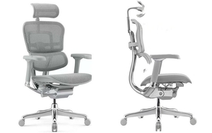 Высококачественное кресло для  Ergohuman Luxury 2 - <ro>Изображение</ro><ru>Изображение</ru> #1, <ru>Объявление</ru> #1736576