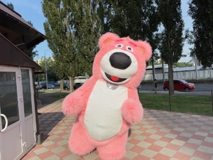 Медведь костюм для рекламы и развлечений - <ro>Изображение</ro><ru>Изображение</ru> #1, <ru>Объявление</ru> #1738246