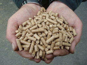 Пресс - грануляторы  биомассы MG 100/200/400/600/800/1000 (Чехия) - <ro>Изображение</ro><ru>Изображение</ru> #5, <ru>Объявление</ru> #1744826