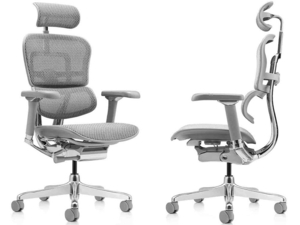 Оригинальное кресло компьютерное Ergohuman Luxury 2 Серый #1750597