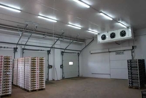 Холодильна камера Тривалого зберігання яєць (встановлення під ключ) #1751962