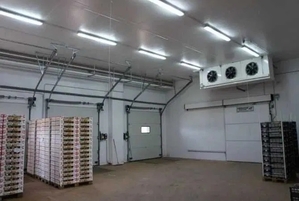 Холодильна камера Тривалого збepігання яєць (встановлення під ключ) #1752674