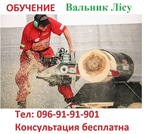 Удостоверение вальщика леса. #1586116