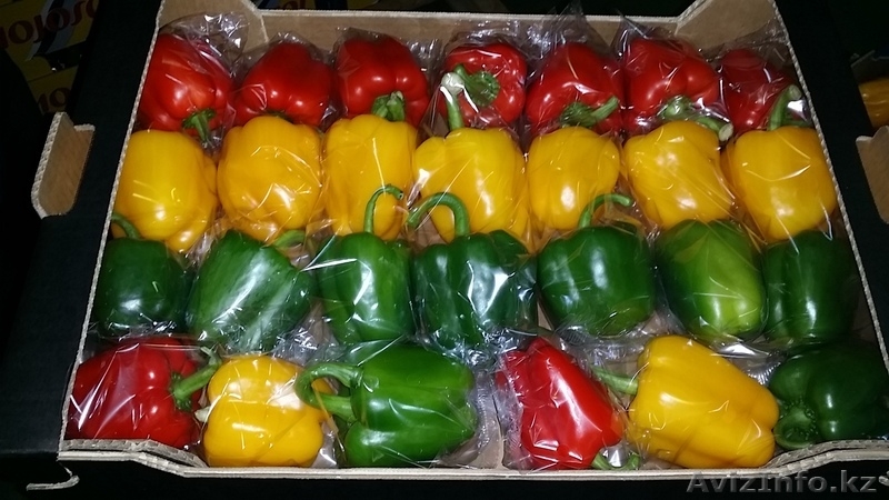 Перец. Прямые поставки из Испании - <ro>Изображение</ro><ru>Изображение</ru> #4, <ru>Объявление</ru> #1329032