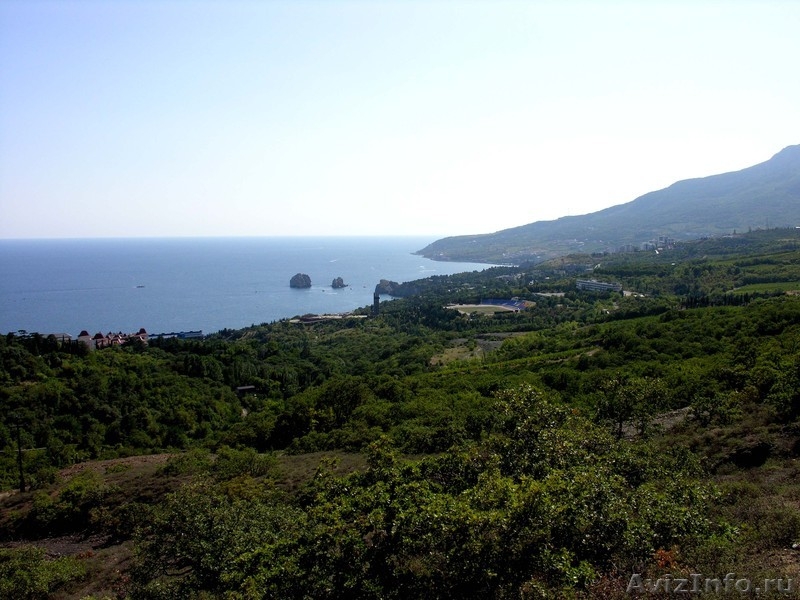 Видовой участок в Гурзуфе у подножия г. Аю-Даг - <ro>Изображение</ro><ru>Изображение</ru> #2, <ru>Объявление</ru> #8121