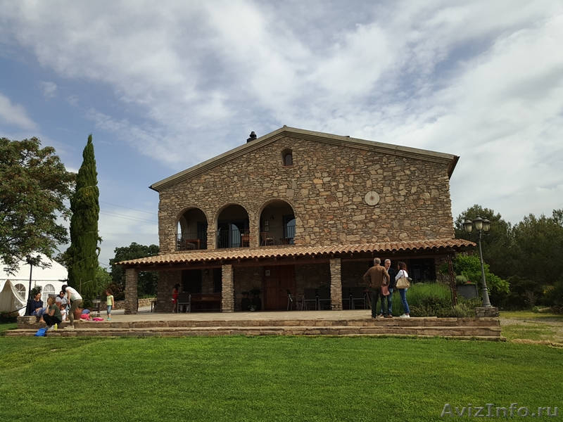 Гостиница экотуризма под Барселоной с виноградником и оливковой рощей. - <ro>Изображение</ro><ru>Изображение</ru> #5, <ru>Объявление</ru> #1510707