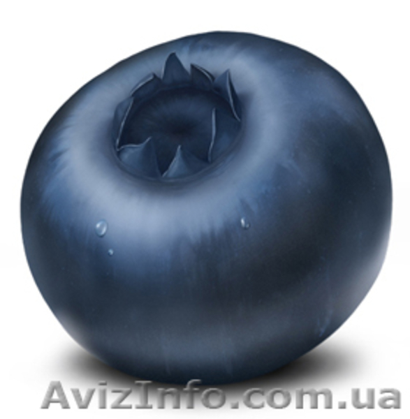 Замороженные ягоды, плоды и овощи. - <ro>Изображение</ro><ru>Изображение</ru> #2, <ru>Объявление</ru> #5859