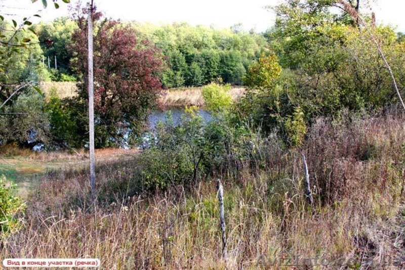 Продам участок 47 соток на берегу речки Рось - <ro>Изображение</ro><ru>Изображение</ru> #2, <ru>Объявление</ru> #13304