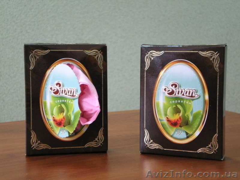 Салфетки двухслойные в картонной упаковке - <ro>Изображение</ro><ru>Изображение</ru> #2, <ru>Объявление</ru> #11286