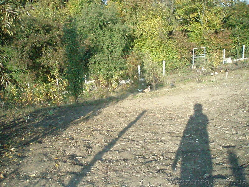 Домик в Мархалевке, 15 км от Киева - <ro>Изображение</ro><ru>Изображение</ru> #3, <ru>Объявление</ru> #17348