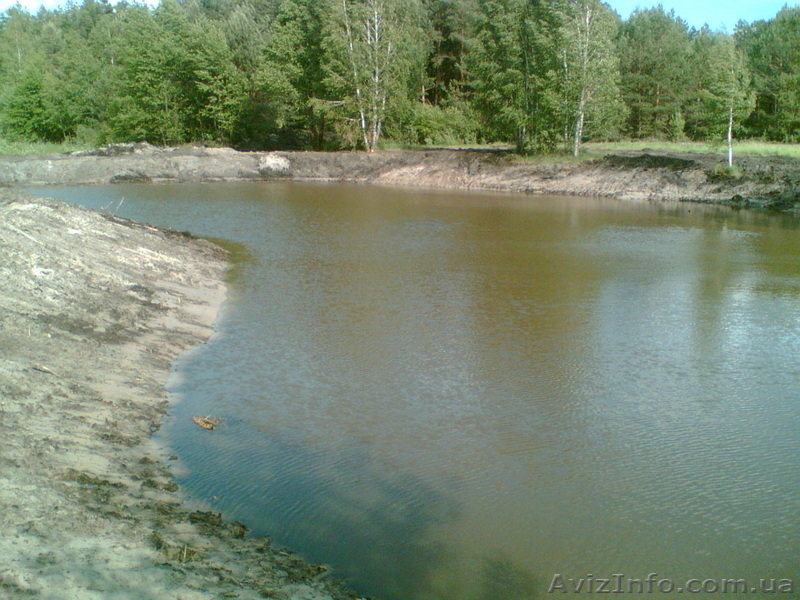 Работы по очистке водоемов, очистка озер и рек каналов - <ro>Изображение</ro><ru>Изображение</ru> #1, <ru>Объявление</ru> #32901