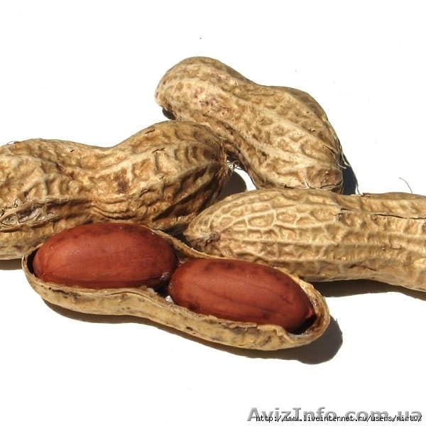 Оптом Кешью, арахис, мякоть манго  - <ro>Изображение</ro><ru>Изображение</ru> #2, <ru>Объявление</ru> #40089