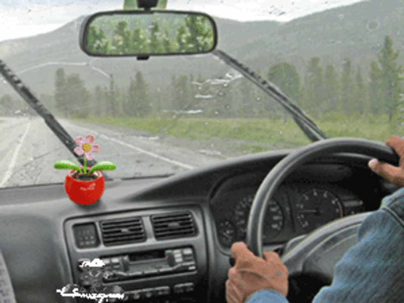  flip flap Солнечный цветочек - <ro>Изображение</ro><ru>Изображение</ru> #1, <ru>Объявление</ru> #40542